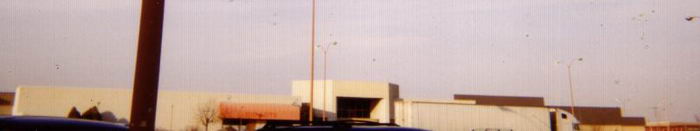 Fort Saginaw Mall - From Bob P (newer photo)